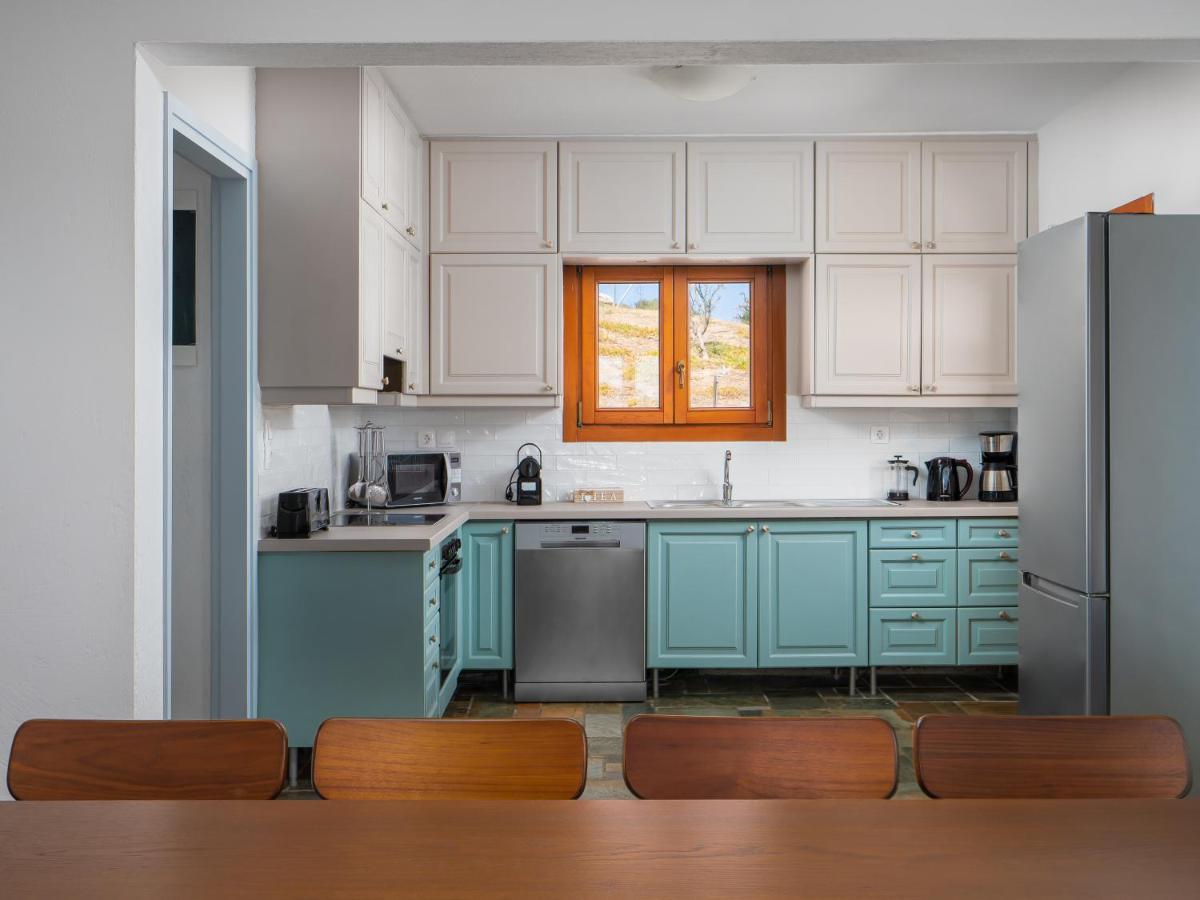 Villa Aura Pine Agia Pelagia  Extérieur photo